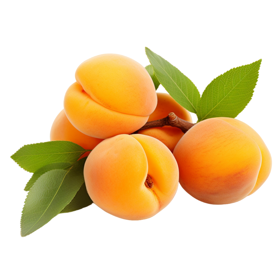 Abricots séchés artisanaux